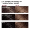 L’Oreal Paris Superior Preference Luminous Fade-Defying Permanent Hair Color, Hair Dye For Up to 9 Weeks of Radiance, Medium Golden Brown 5G, 1 Hair Dye Kit(UL51 Hi-Lift Natural Brown)