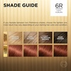 L’Oreal Paris Superior Preference Luminous Fade-Defying Permanent Hair Color, Hair Dye For Up to 9 Weeks of Radiance, Medium Golden Brown 5G, 1 Hair Dye Kit(6R Light Auburn)