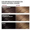 L’Oreal Paris Superior Preference Luminous Fade-Defying Permanent Hair Color, Hair Dye For Up to 9 Weeks of Radiance, Medium Golden Brown 5G, 1 Hair Dye Kit(UL61 Ultra Light Ash Brown)