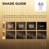 L’Oreal Paris Superior Preference Luminous Fade-Defying Permanent Hair Color, Hair Dye For Up to 9 Weeks of Radiance, Medium Golden Brown 5G, 1 Hair Dye Kit(4A Dark Ash Brown)